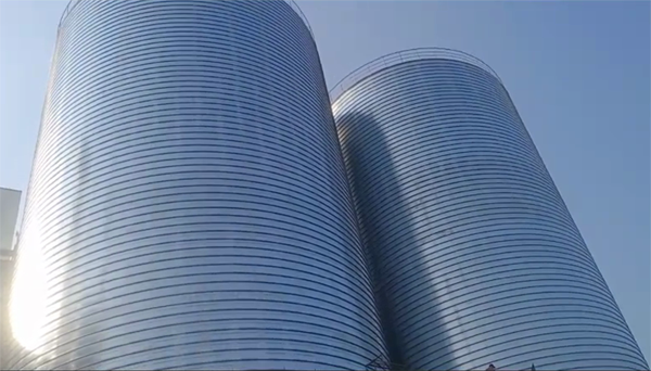 汉川2座混凝土高架卷板仓